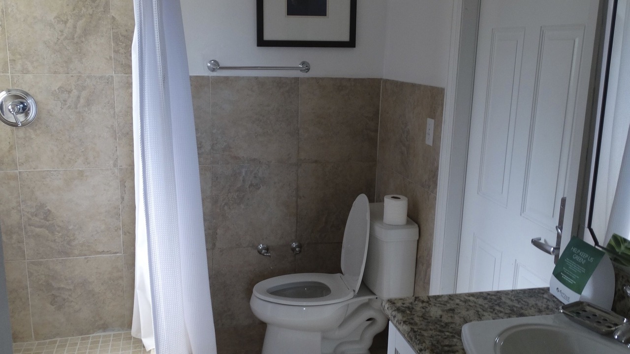Photo of Bathroom in Alice Town