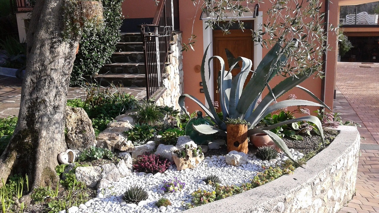 Photo of Outdoor in Assenza