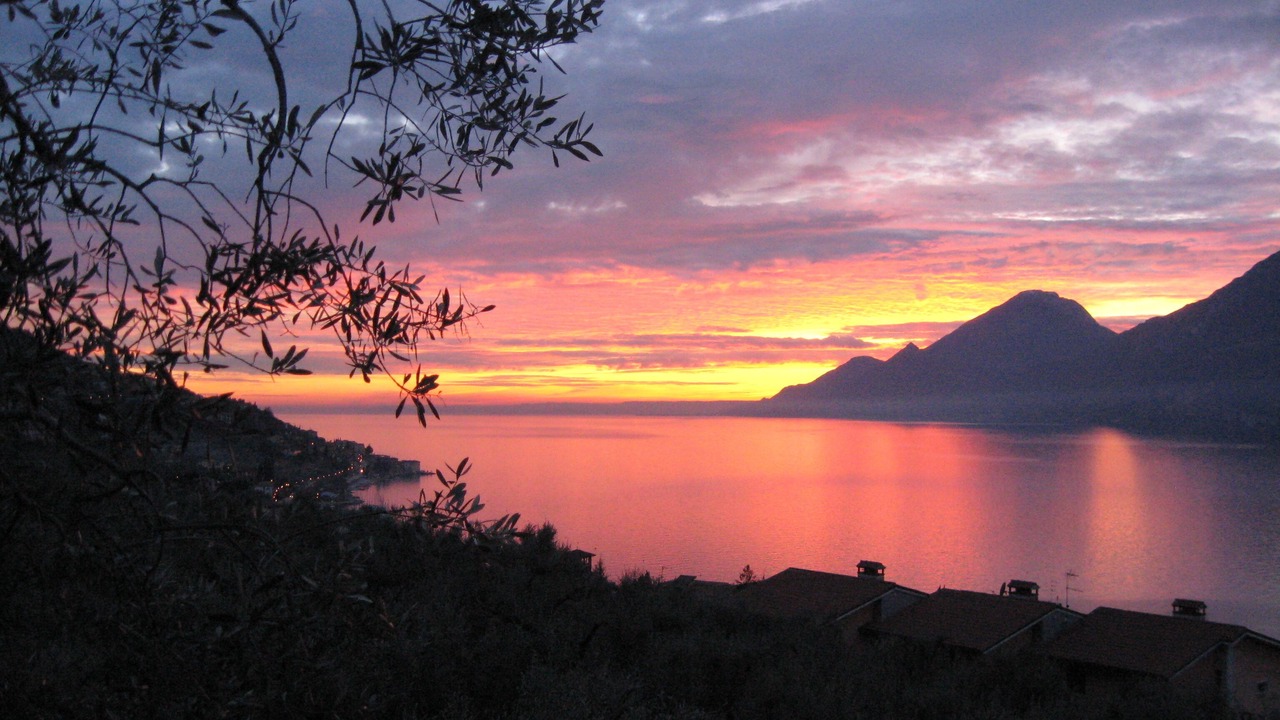 Photo of Others in Assenza