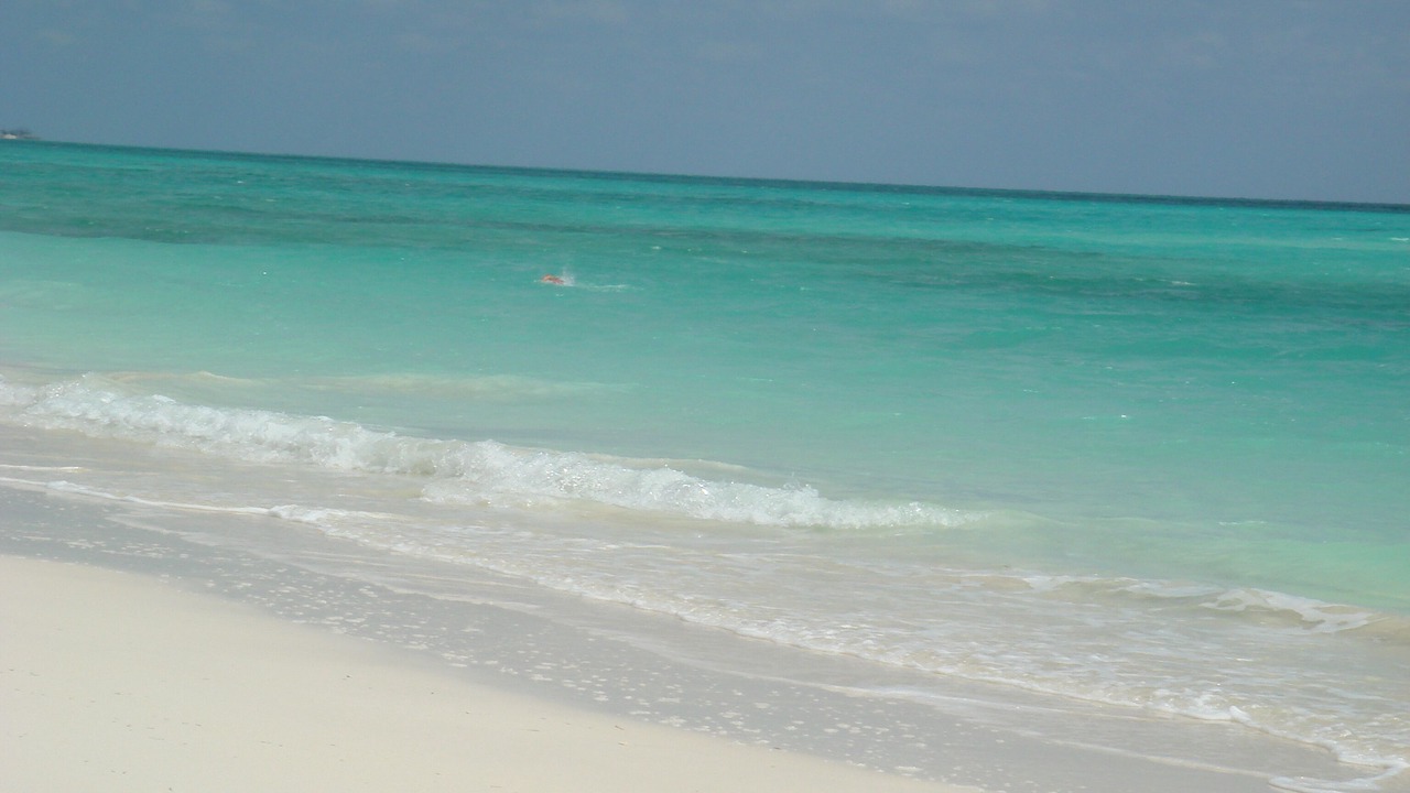 Photo of Others in Freeport