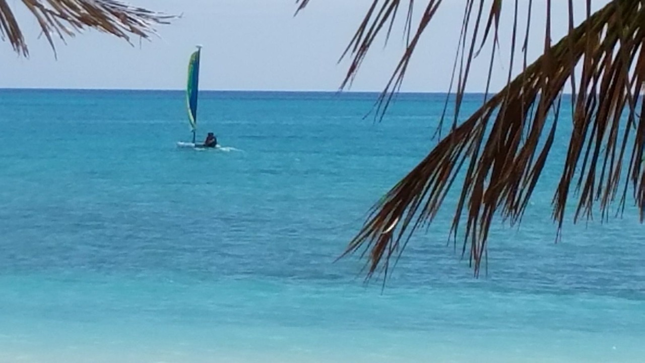 Photo of Others in Freeport