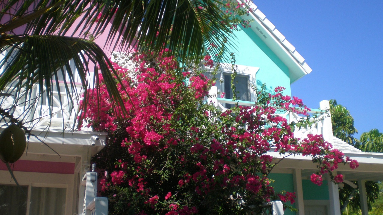 Photo of Outdoor in Freeport