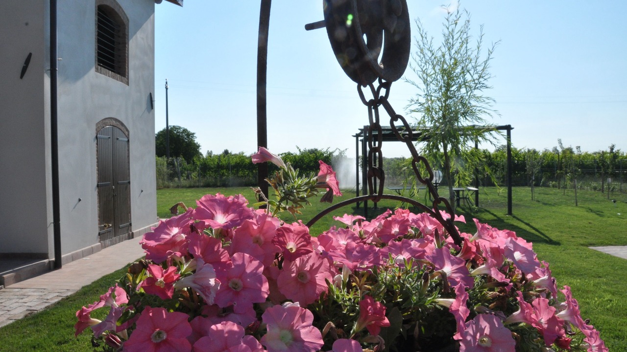 Photo of Outdoor in Pontecasale