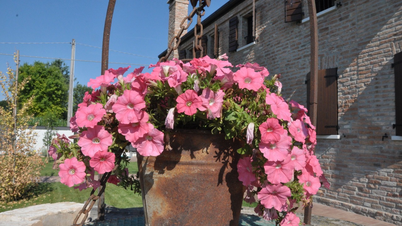 Photo of Outdoor in Pontecasale