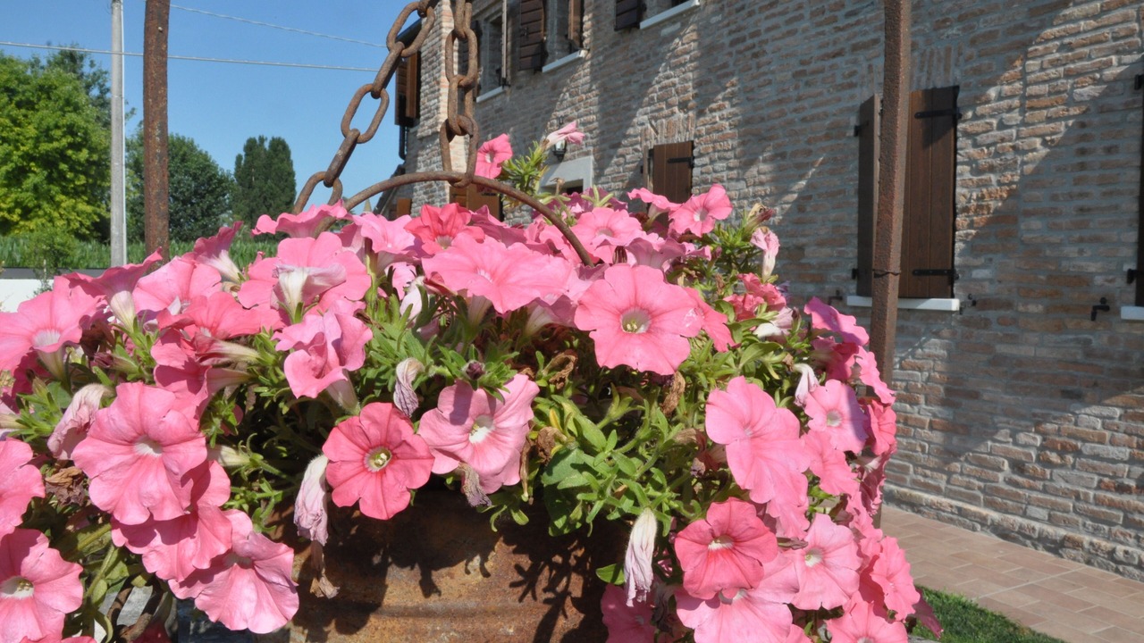 Photo of Outdoor in Pontecasale