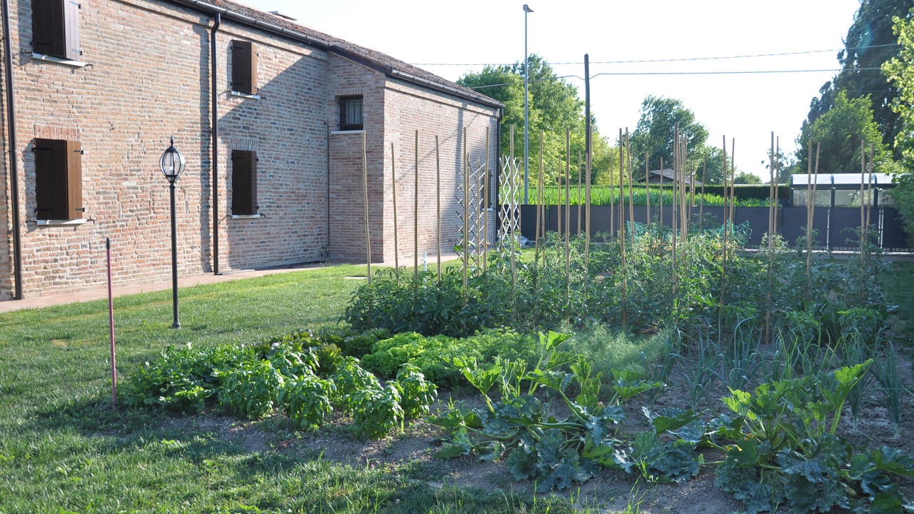 Photo of Outdoor in Pontecasale