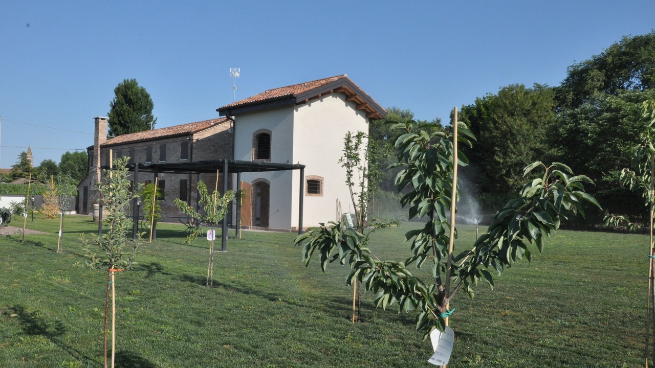 Photo of Outdoor in Pontecasale