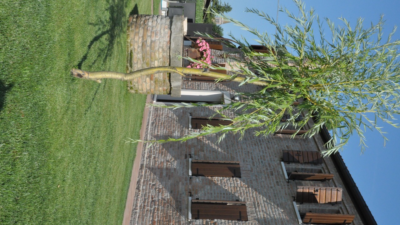 Photo of Outdoor in Pontecasale