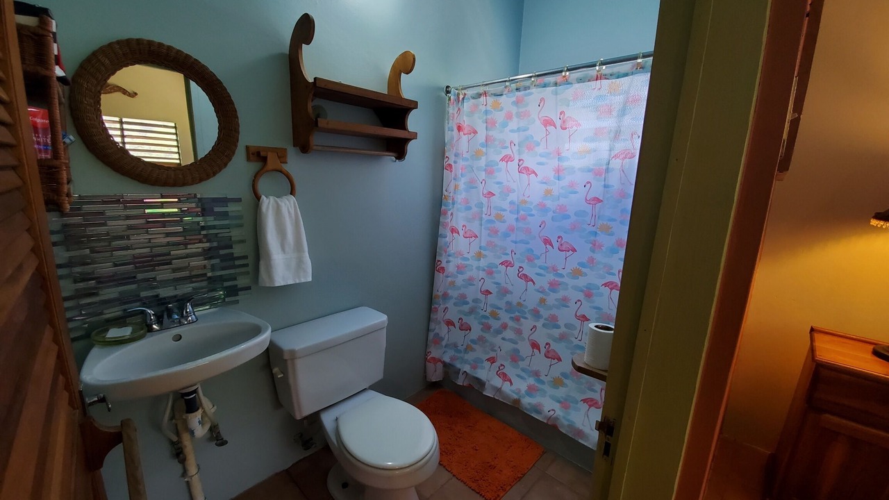 Photo of Bathroom in Treasure Beach