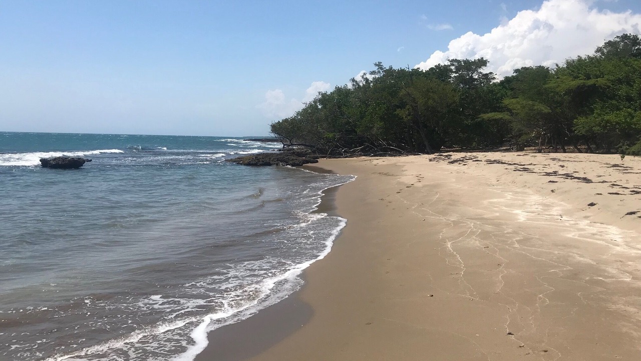 Photo of Others in Treasure Beach