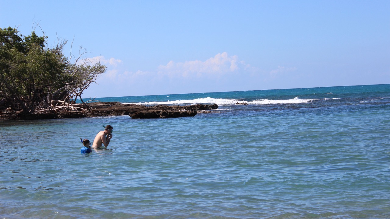 Photo of Others in Treasure Beach