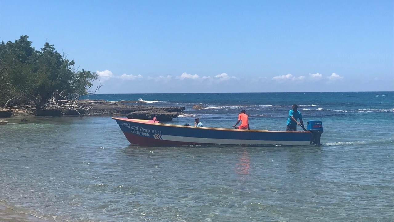 Photo of Others in Treasure Beach