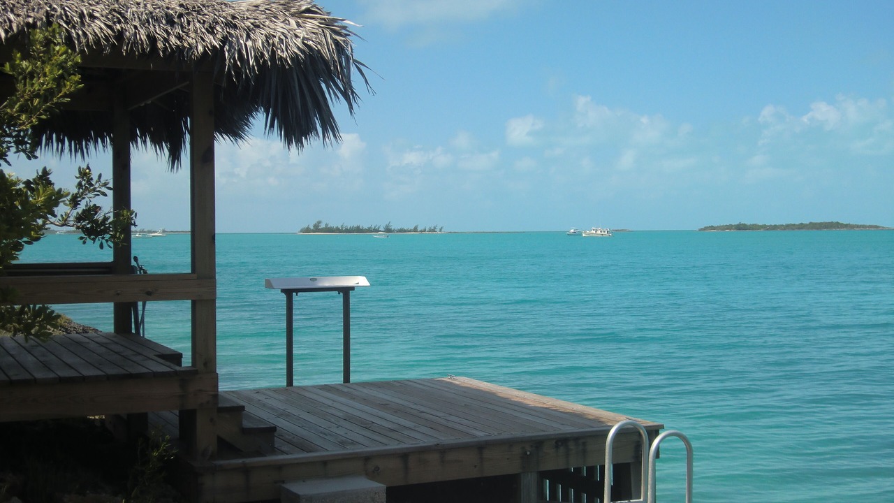 Photo of Others in Salt Pond