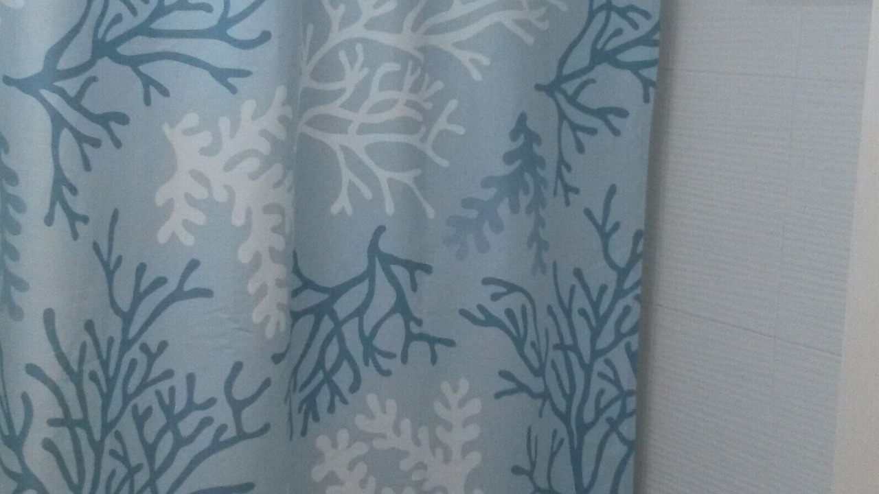 Photo of Bathroom in Paradise Island
