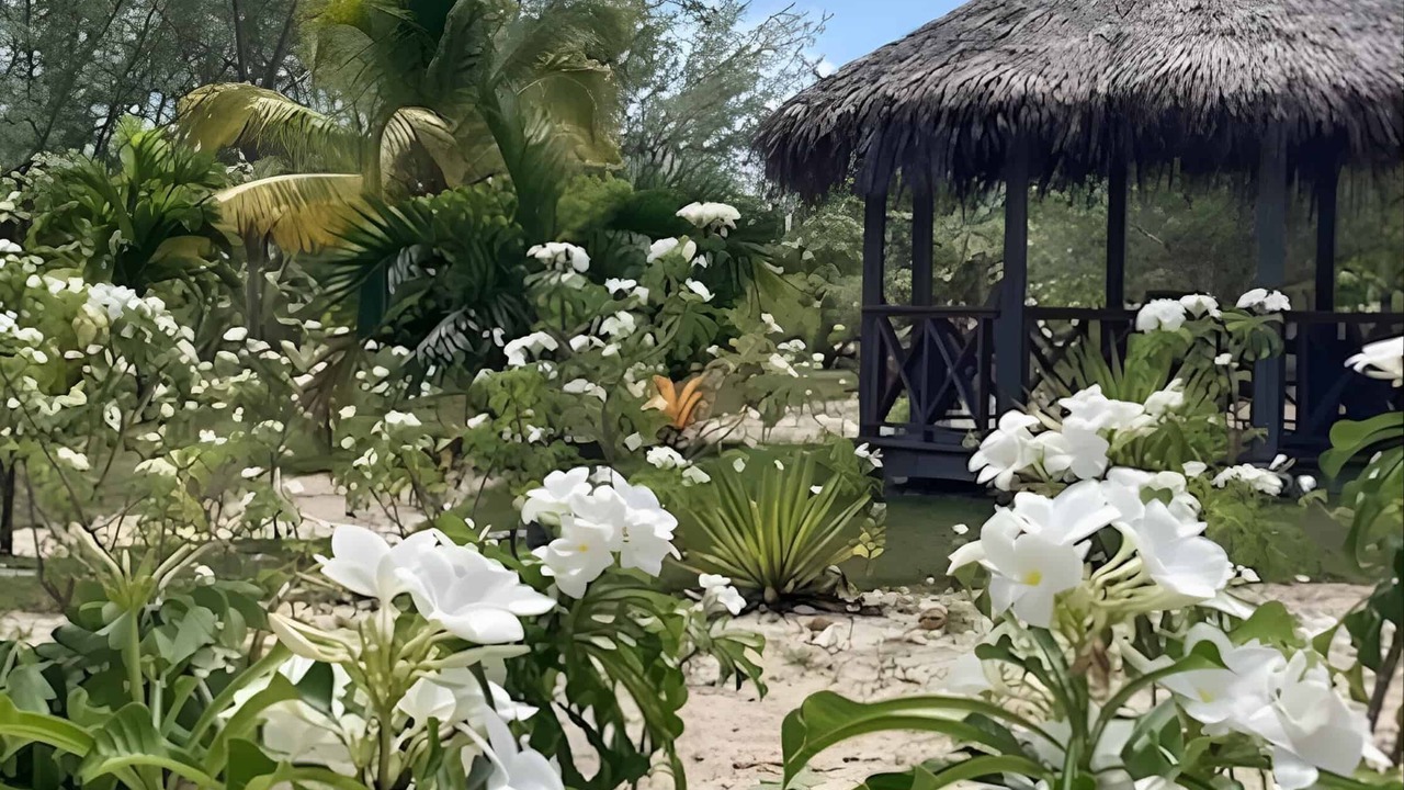 Photo of Outdoor in North Palmetto Point