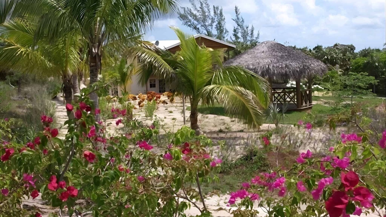 Photo of Outdoor in North Palmetto Point