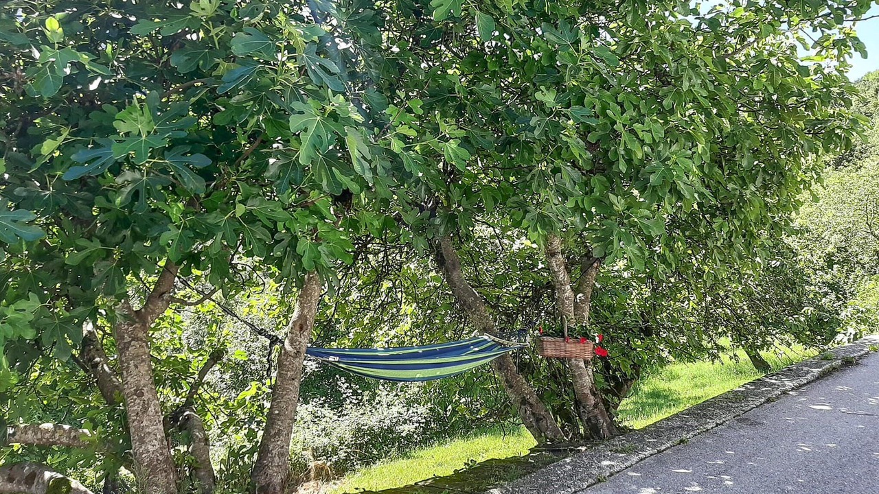 Photo of Outdoor in Valmorel