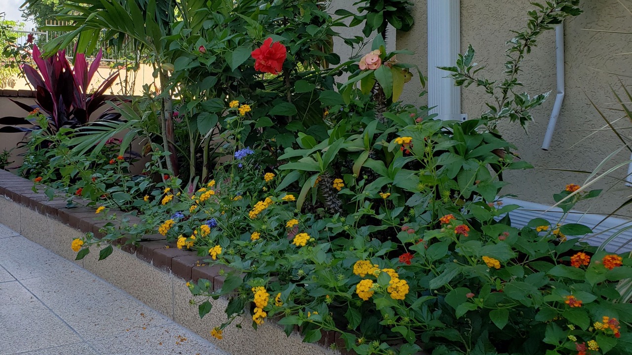 Photo of Outdoor in Saint Andrew