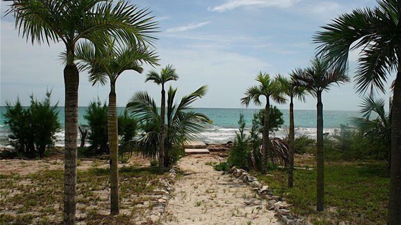 Photo of Others in South Palmetto Point