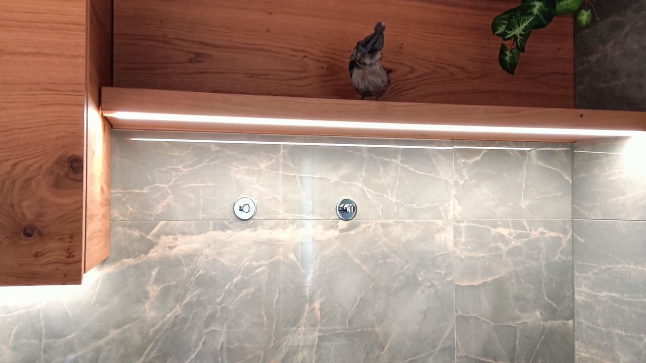 Photo of Bathroom in Treviso