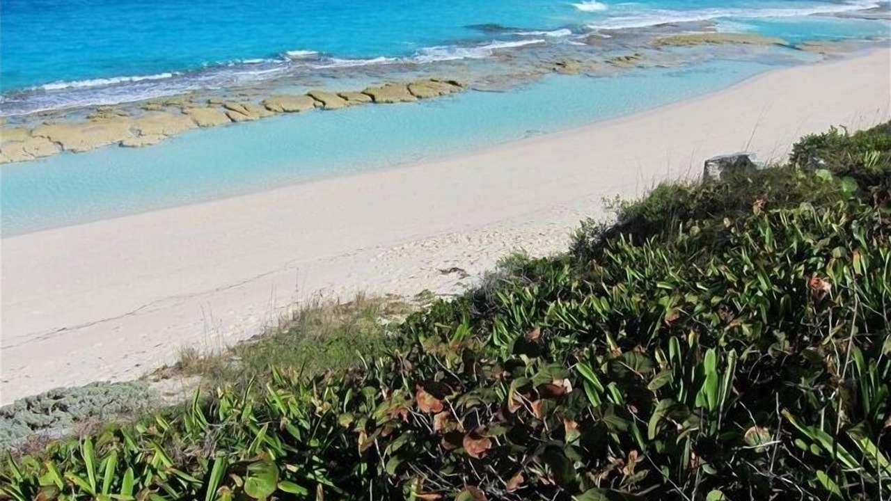 Photo of Others in Stocking Island
