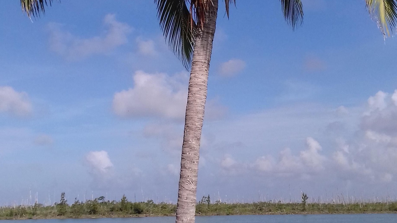 Photo of Outdoor in Freeport
