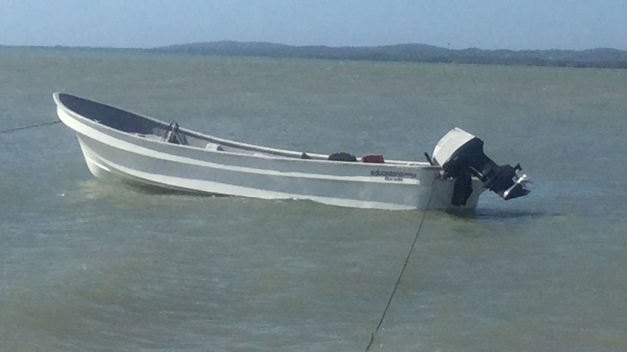 Photo of Others in Crane corner