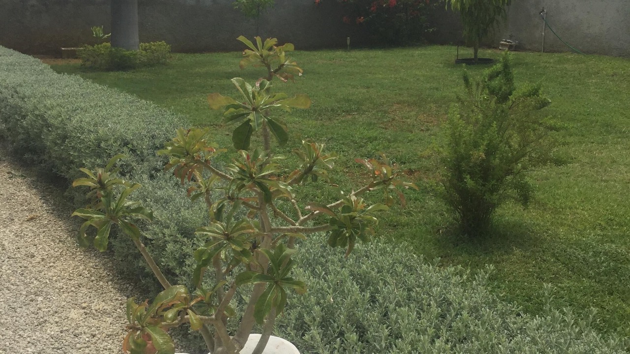 Photo of Outdoor in Crane corner