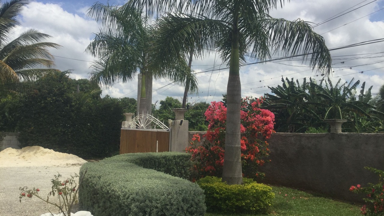 Photo of Outdoor in Crane corner