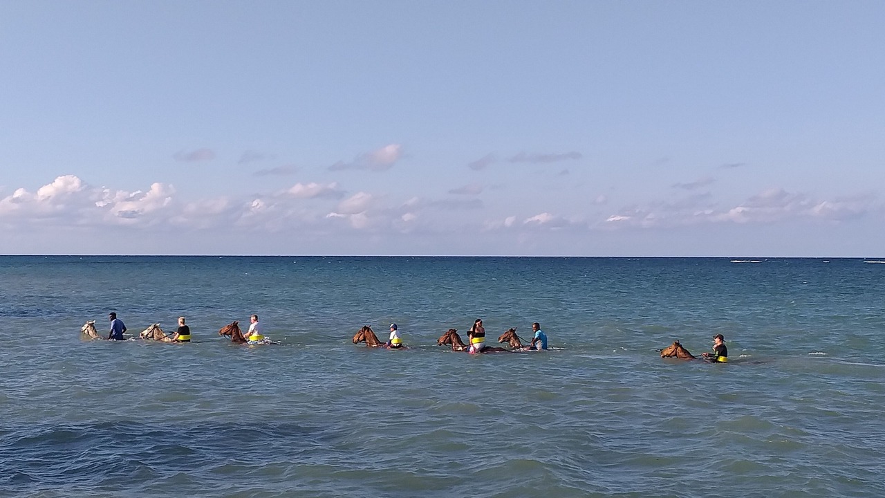 Photo of Others in Tryall
