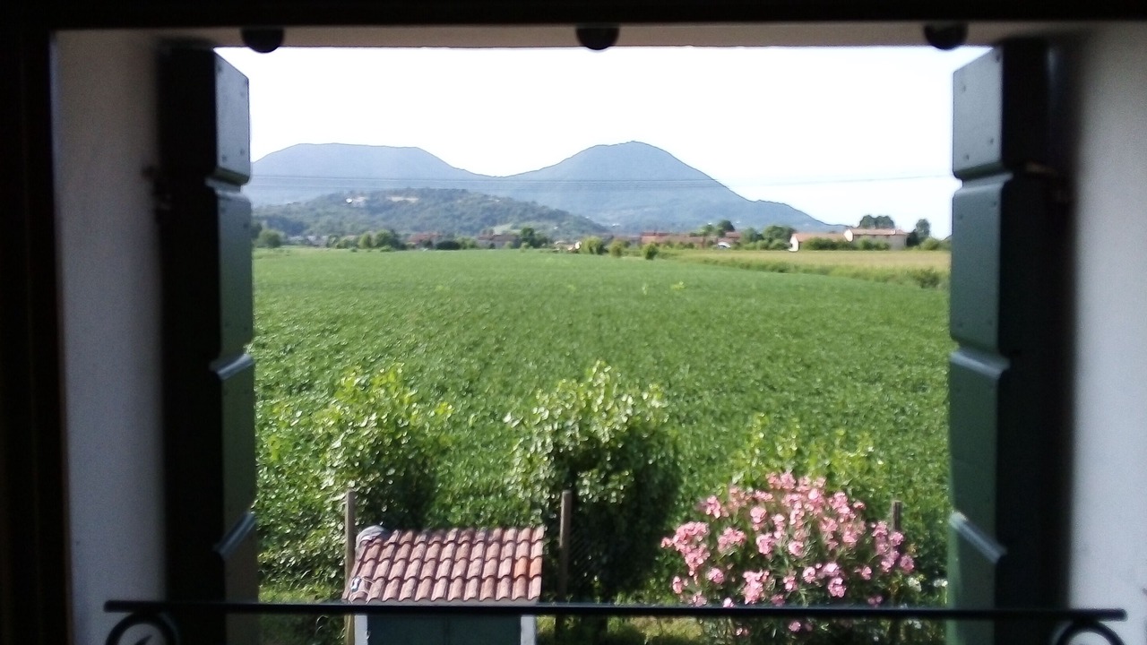 Photo of Others in Cisano di Bardolino