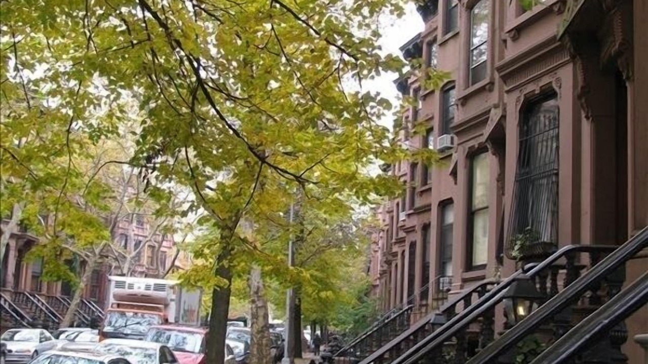 Photo of Others in Park Slope