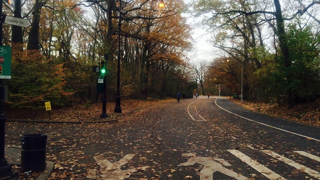 Photo of Others in Park Slope