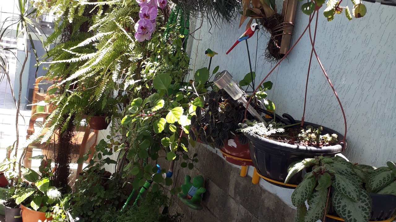 Photo of Outdoor in Niteroi