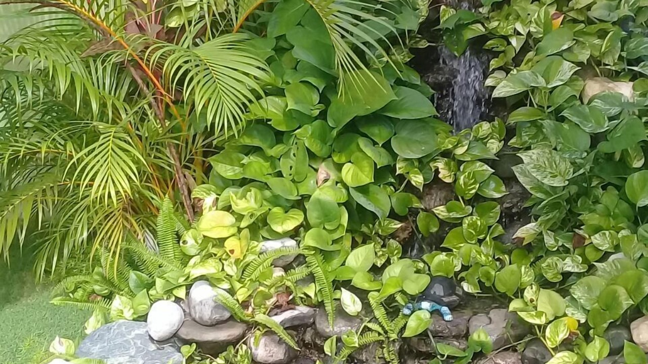 Photo of Outdoor in Caribbean Estates