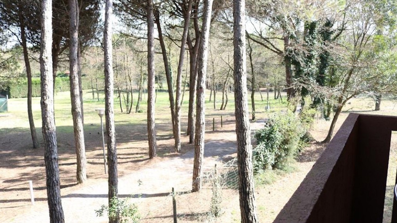 Photo of Outdoor in Bibione Pineda