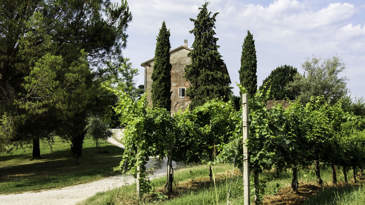 Photo of Outdoor in Conegliano
