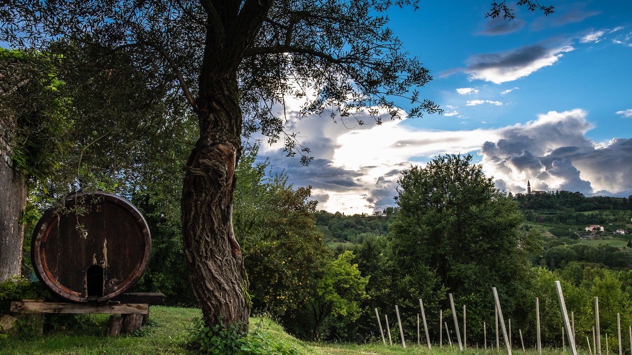 Photo of Outdoor in Conegliano