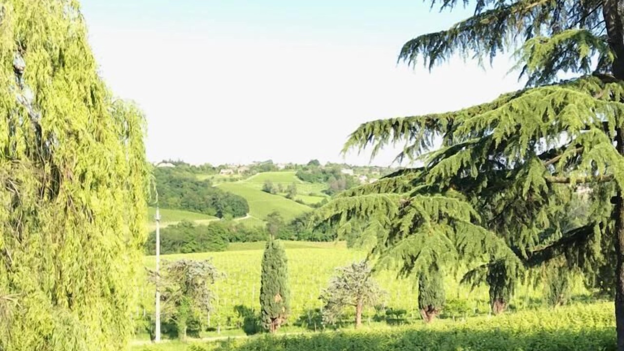 Photo of Outdoor in Conegliano