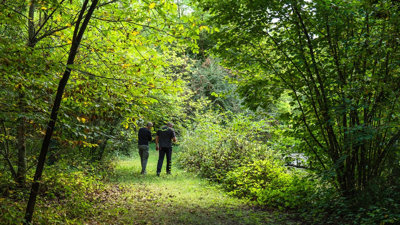 Photo of Outdoor in Conegliano