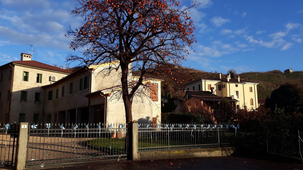 Photo of Outdoor in Col San Martino