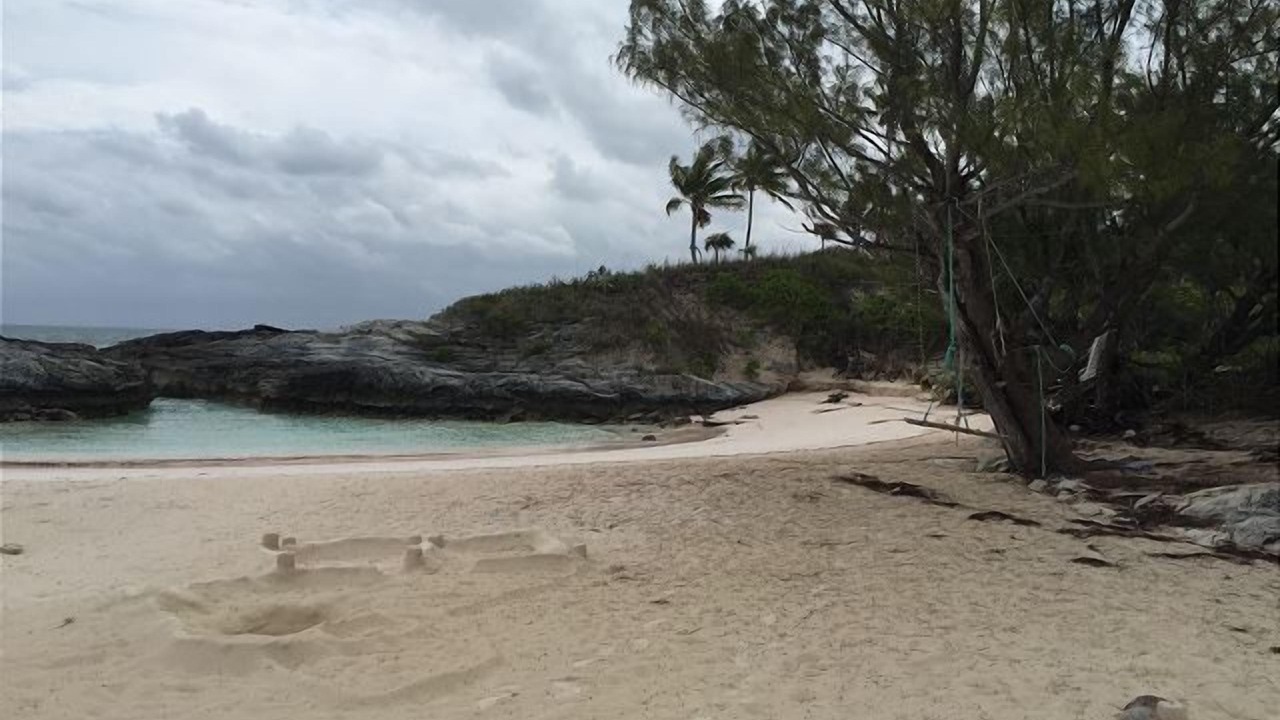 Photo of Others in North Palmetto Point