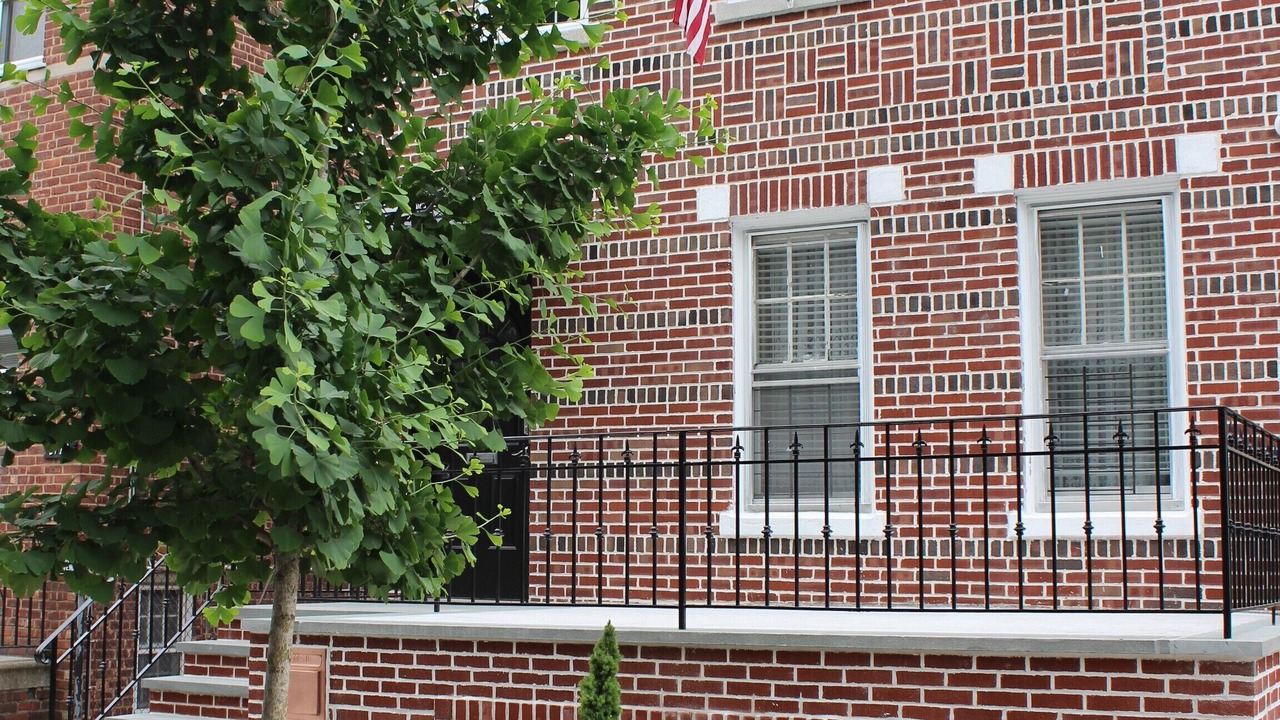 Photo of Others in East Bronx
