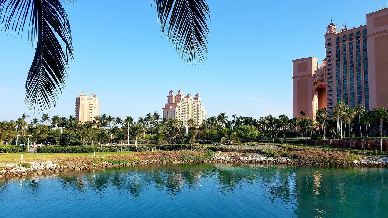 Photo of Others in Paradise Island