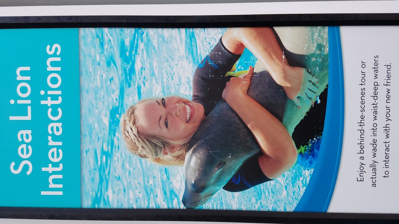 Photo of Others in Paradise Island