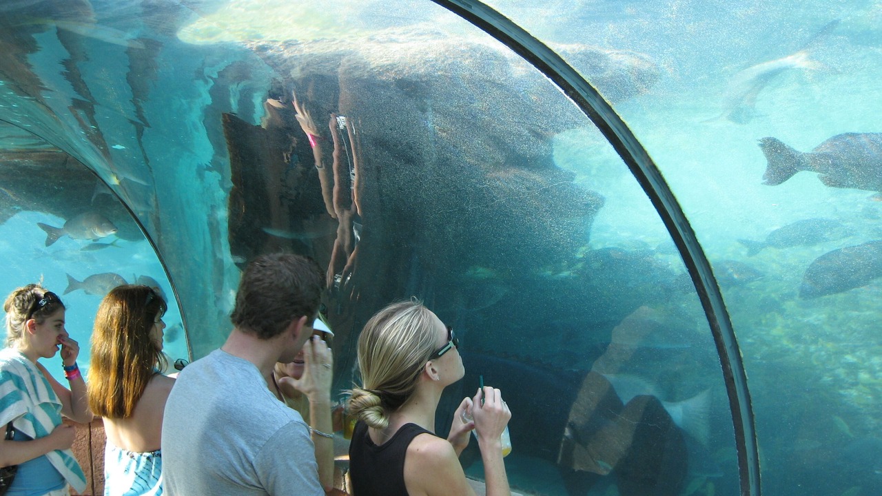 Photo of Others in Paradise Island