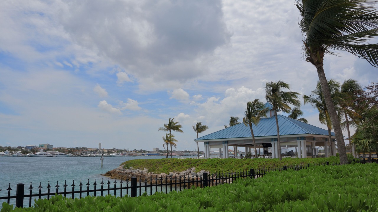 Photo of Others in Paradise Island