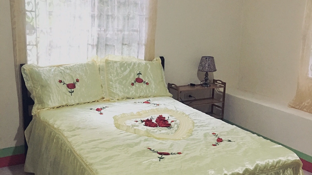 Photo of Bedroom in Port Antonio
