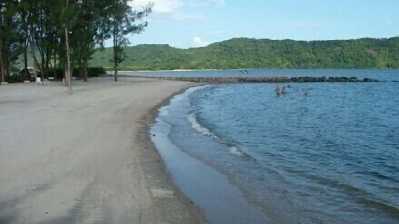 Photo of Others in Bracui
