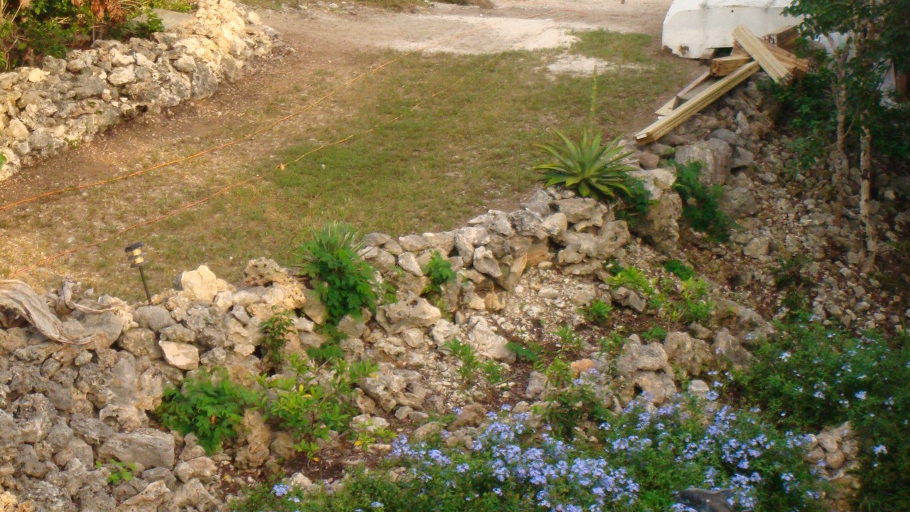 Photo of Outdoor in Little Harbour